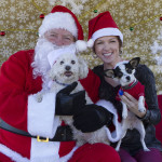 Dogs with Santa Claus 2015