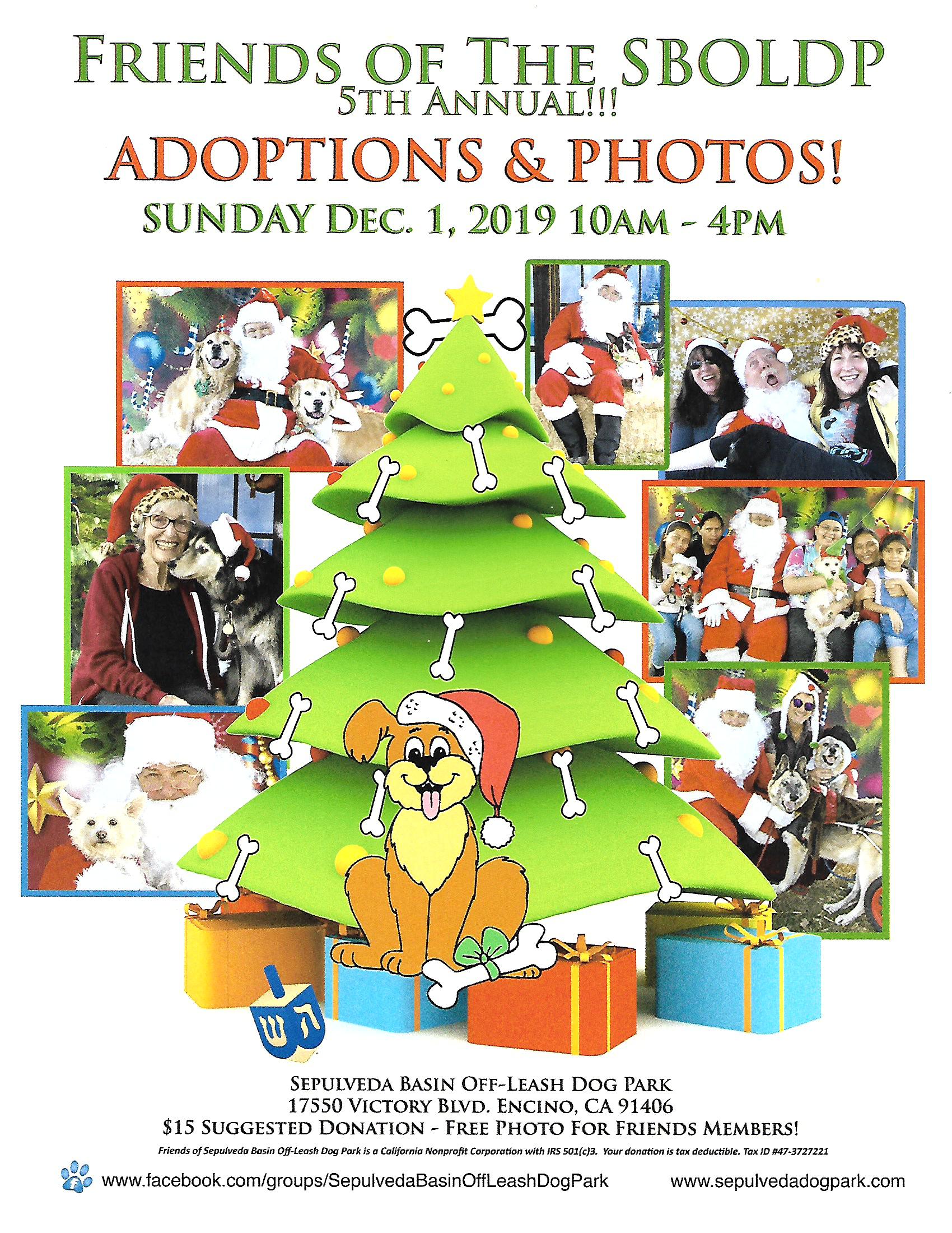 2019 Holiday Dog Adoptions and Photos at SBOLDP